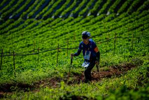 BIB: 
                            <button type="button" onclick="openModal(19160832)" class="btn btn-primary btn-sm float-right btn-popup" data-toggle="modal" data-target=".modal-high-quality">
                        <i class="fas fa-shopping-cart"></i> Add to Cart
                    </button>
                                            <button type="button" onclick="isThisMe(19160832, true)" class="btn btn-success btn-sm float-right btn-popup btn-isme hidden" data-toggle="tooltip" data-placement="bottom" title="นี่คือรูปของคุณใช่ไหม คลิกที่นี่เพื่อเอาเข้าอัลบั้ม">
                        <i class="fas fa-plus"></i> Add to album
                    </button>
                    <button type="button" onclick="isThisMe(19160832, false)" class="btn btn-warning btn-sm float-right btn-popup btn-isnotme hidden">
                        <i class="fas fa-ban"></i> Remove from album
                    </button>